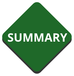 summary